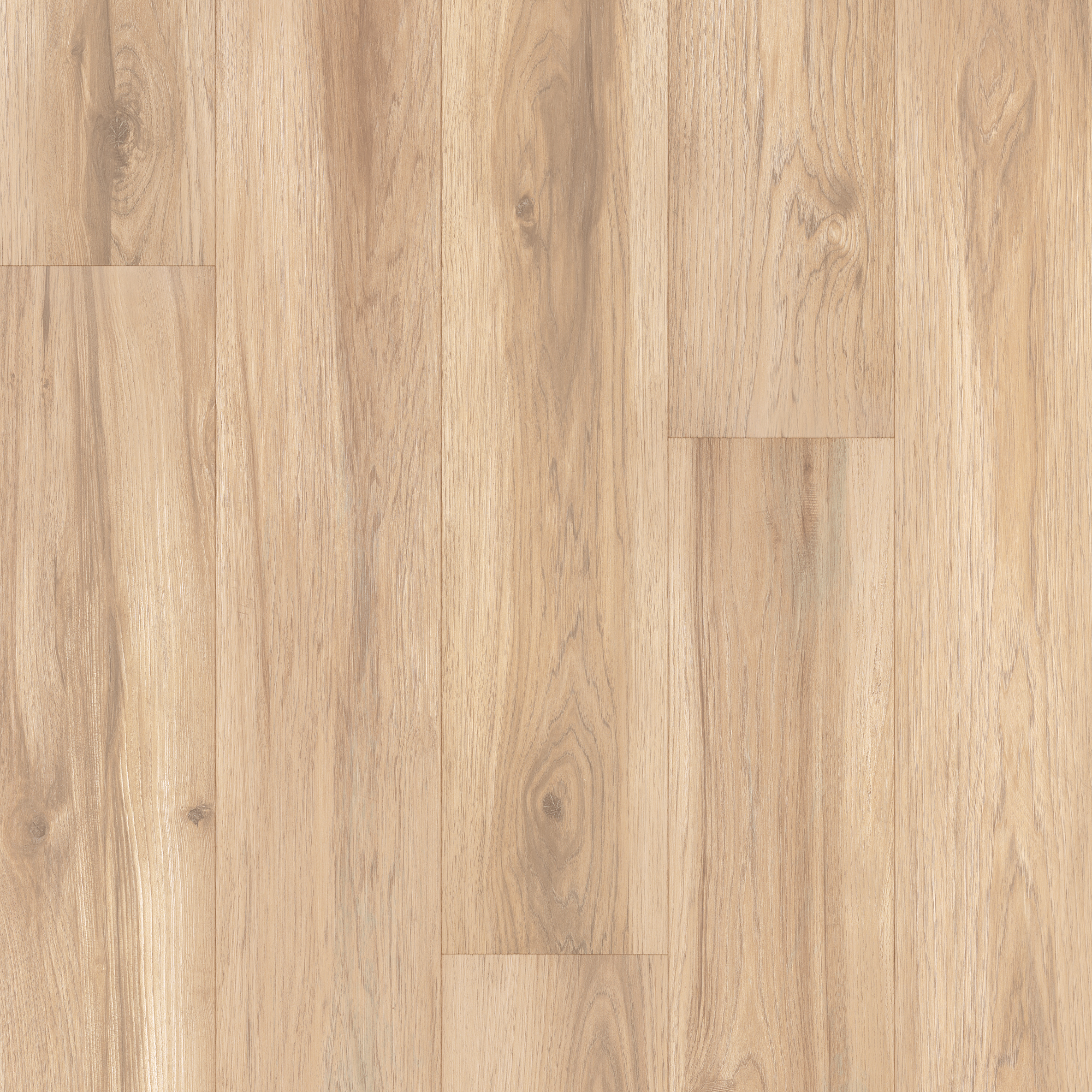 floor-img